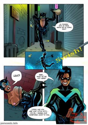 Justice League– Nightwing and Catwoman